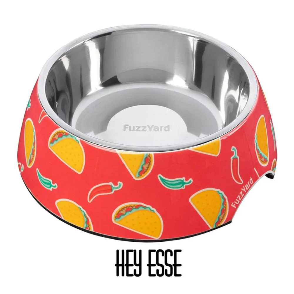 Melamine Graphic Easy Feeder Bowls, Medium - 2